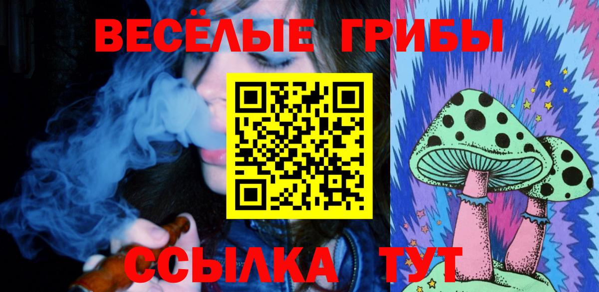 Псилоцибиновые грибы ЛСД Электрогорск