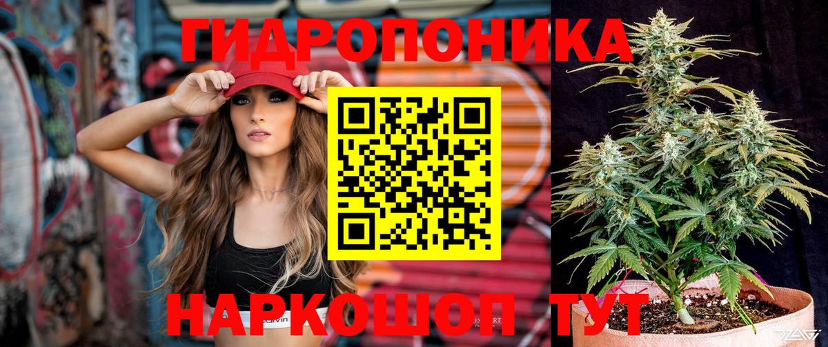 Электрогорск  Бошки Шишки LSD WEED  Конопля сатива  Шишки марихуана Ganja  Вход с VPN 